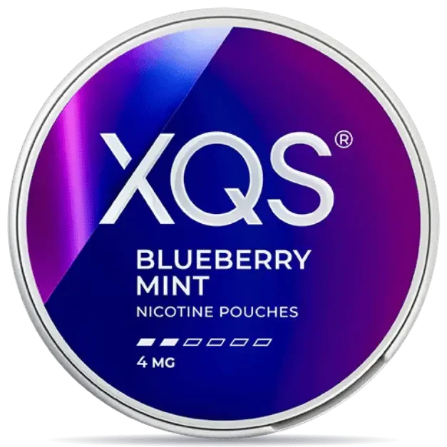 XQS Blueberry Mint 4 mg