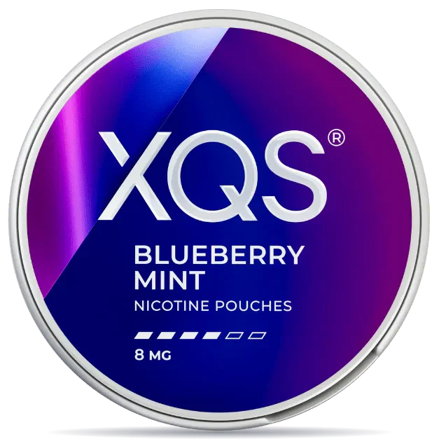 XQS Blueberry Mint nicotine pouches can 8mg strength berry and mint flavor