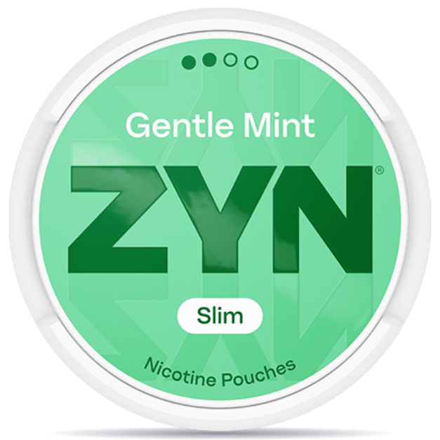 ZYN Gentle Mint 6 mg