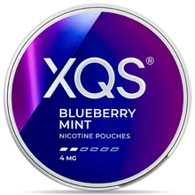 XQS Blueberry Mint 4 mg