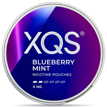 XQS Blueberry Mint 4 mg