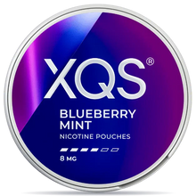 XQS Blueberry Mint nicotine pouches can 8mg strength berry and mint flavor