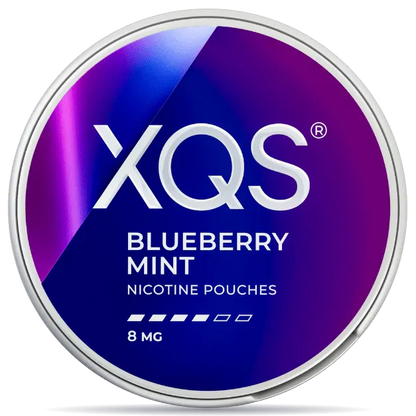 XQS Blueberry Mint nicotine pouches can 8mg strength berry and mint flavor